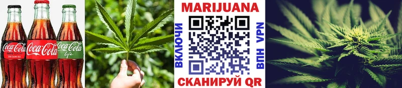 Cannafood конопля  Кедровый 