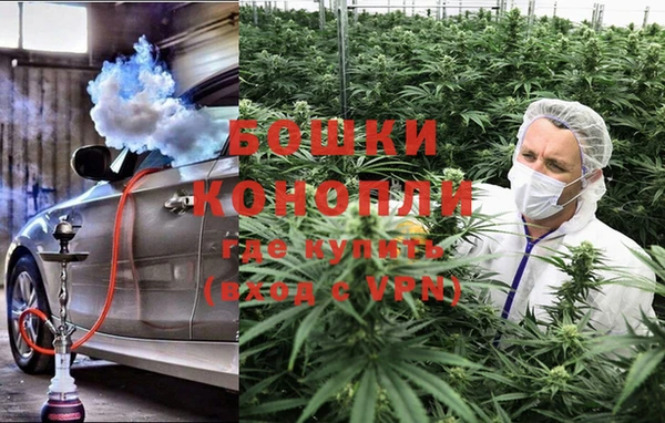 молекула духа Кинешма